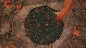 Vis